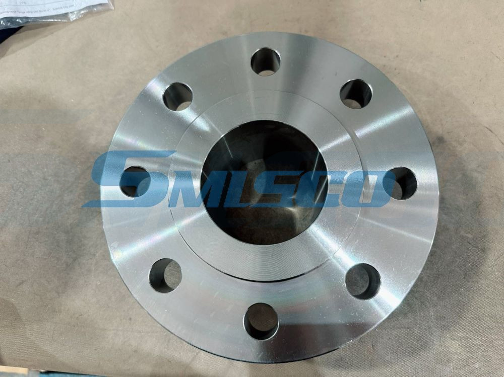 ASTM A182 F316L PN16 DN150 NENGAIL LISE FLANEG