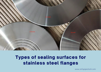 //ilrorwxhikjmlp5p-static.micyjz.com/cloud/lpBpjKlqlnSRokmkroipiq/Types-of-sealing-surfaces-for-stainless-steel-flanges.png